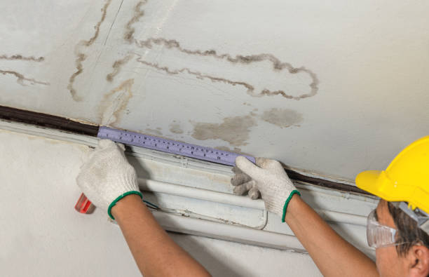 Reliable Structural Drying contractor in New Milford, NJ by Water Damage Irwin